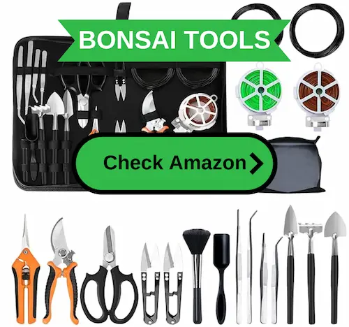 A set of bonsai tools for beginners.