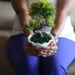 A woman holds a bonsai tree.